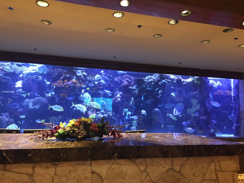 The Mirage fish tank