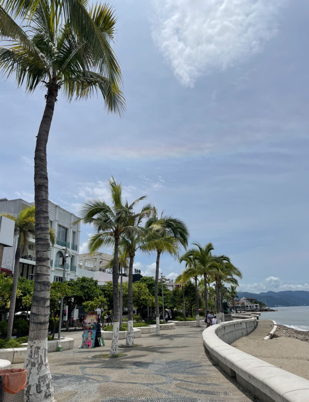 A row of palm trees along a boardwalk.